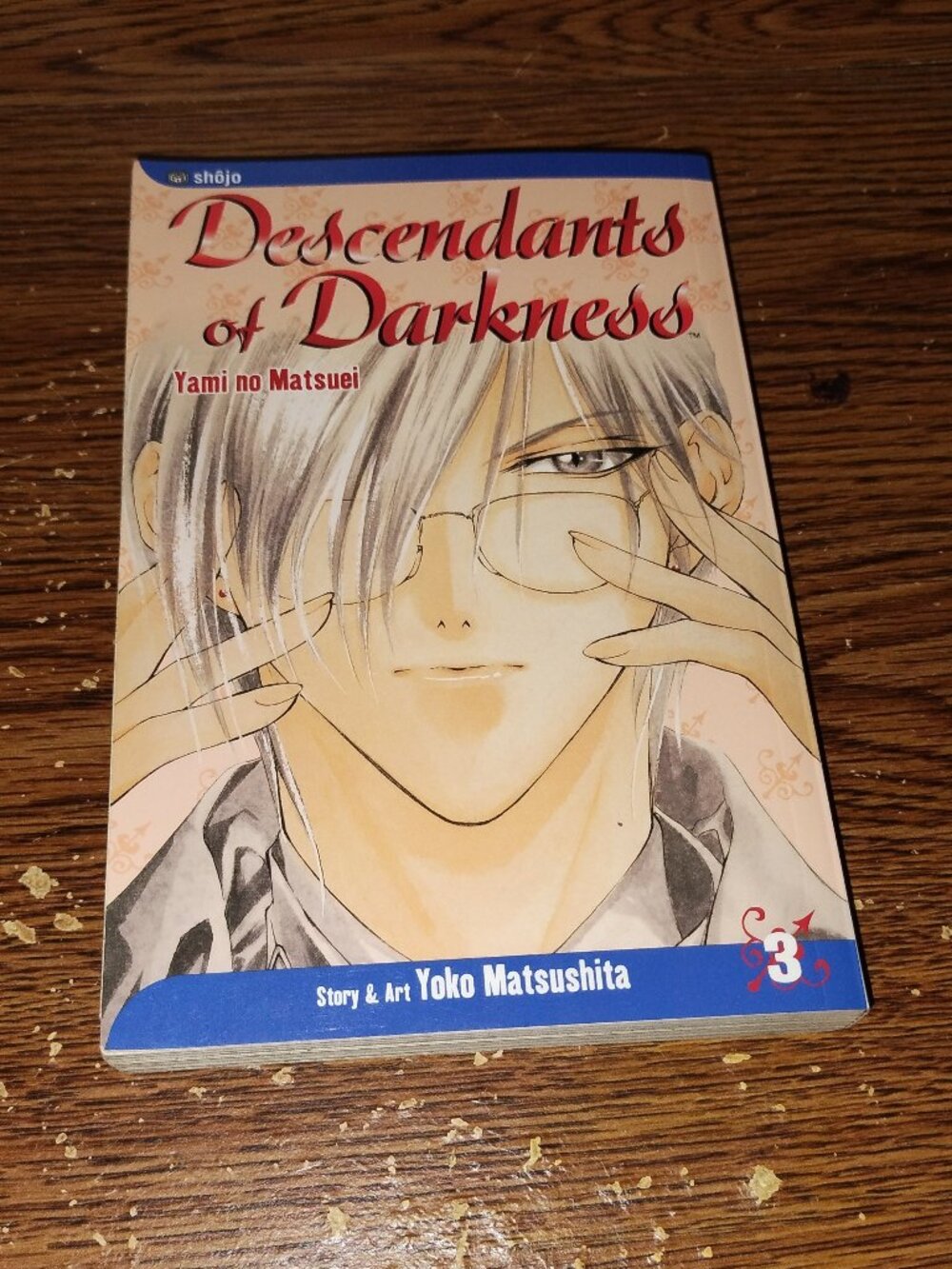Descendants of Darkness Vol. 3 Manga in English by Yoko Matsushita (Viz Media)